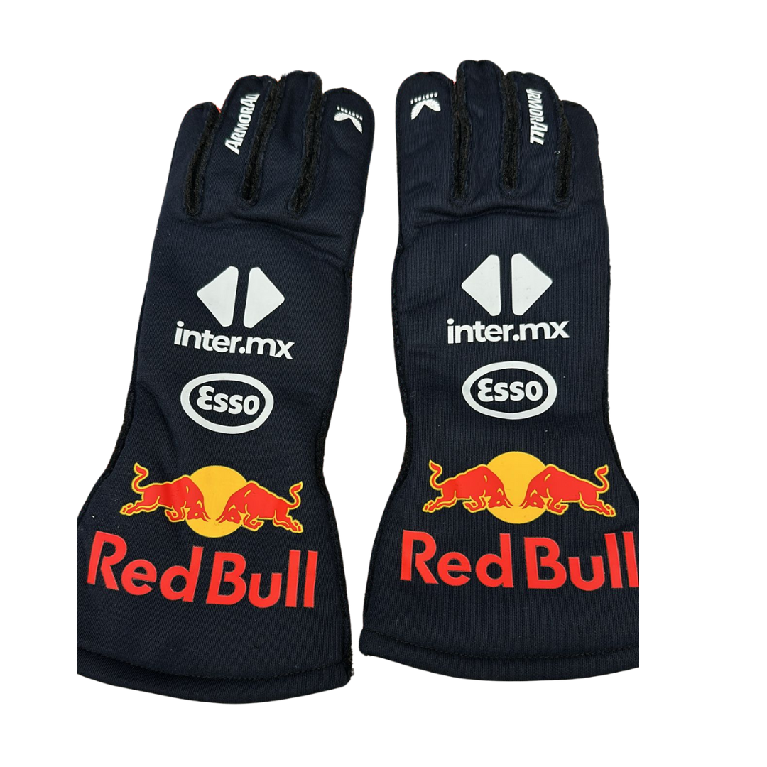 Guanti di Formula 1 usati in gara da Max Verstappen nel 2024